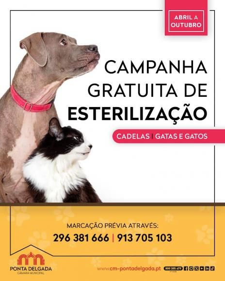 Campanha Gratuita de Esteriliza&ccedil;&atilde;o de Animais de Companhia