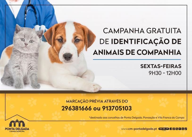 Campanha Gratuita de Identificação  Animais de Companhia